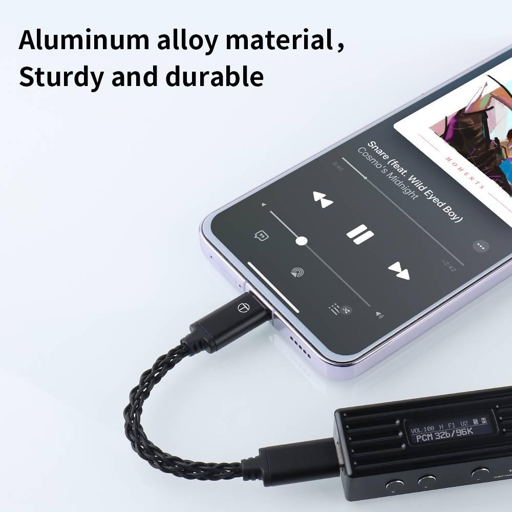 TRN إلى خط التحويل Type-C DAC  - مراجعة Usb C Earphone وسعره